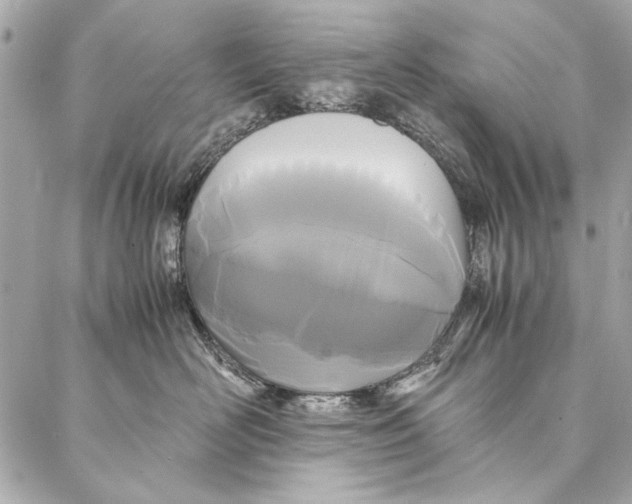 X0000086920526200705071331