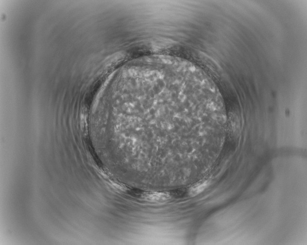 X0000086920527200705071331