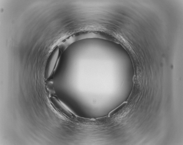 X0000086920530200705071330