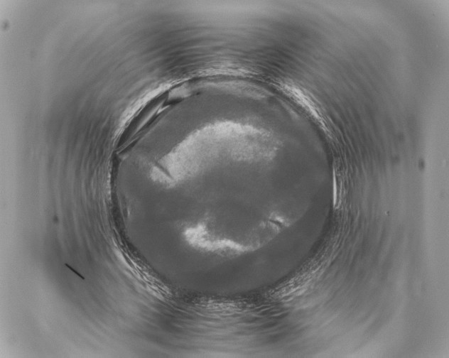 X0000086920531200705071330