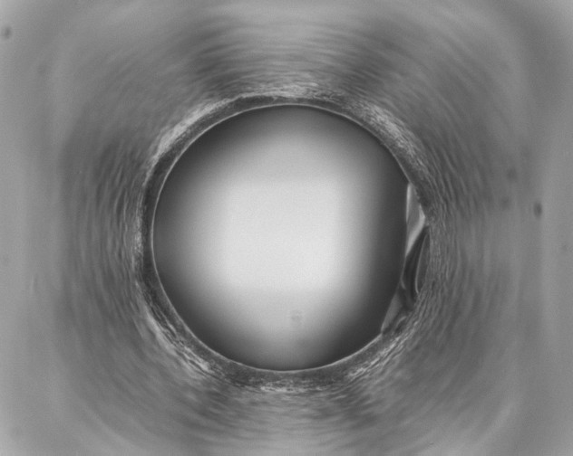 X0000086920532200705071330