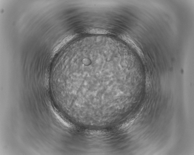 X0000086920533200705071330