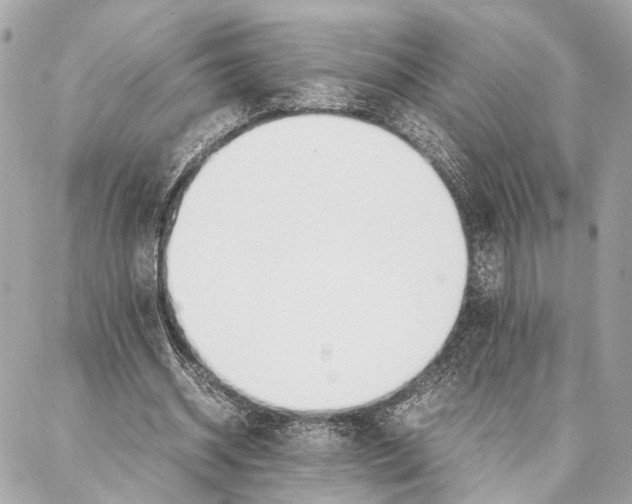 X0000086920534200705071330