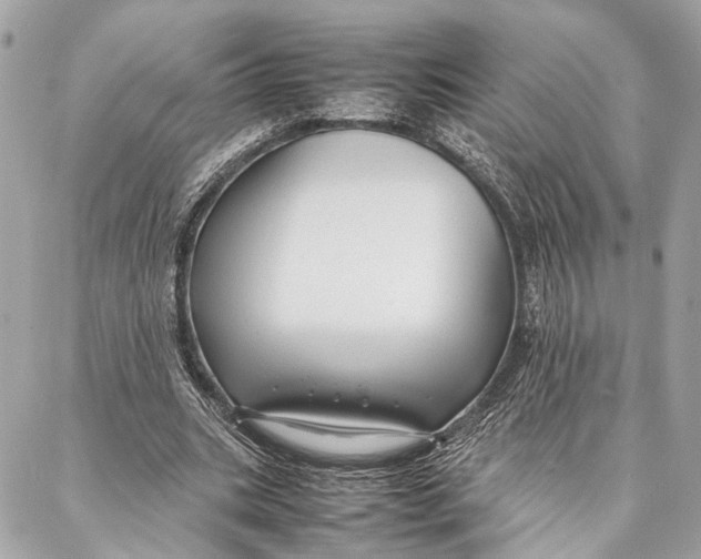 X0000086920535200705071330