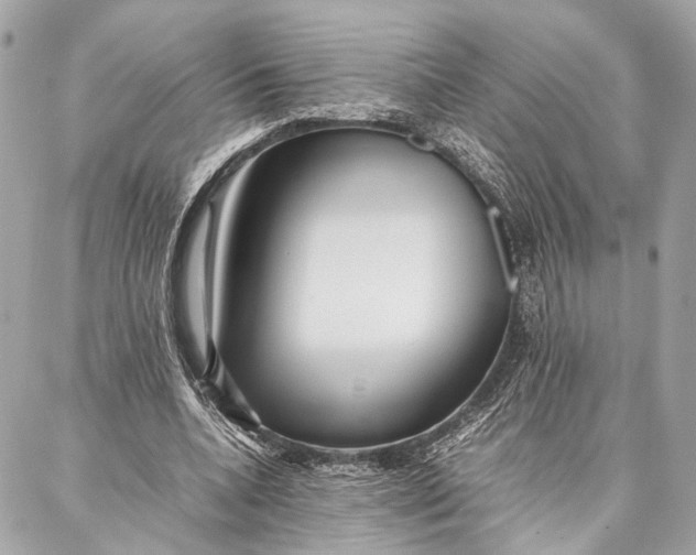 X0000086920536200705071330