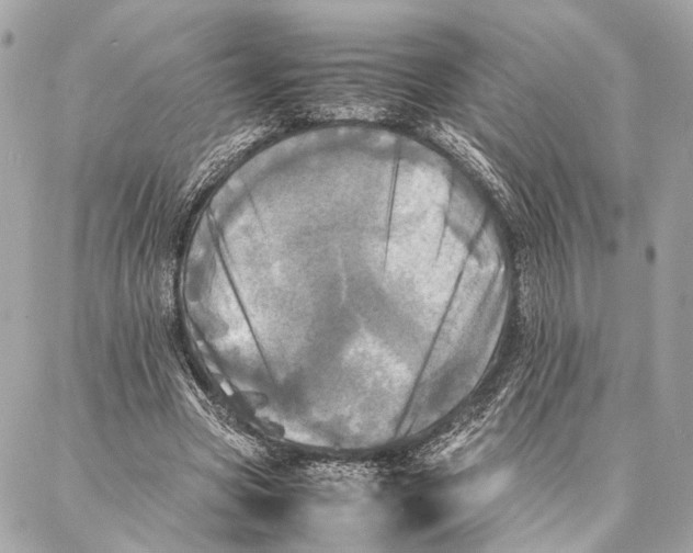 X0000086920537200705071330