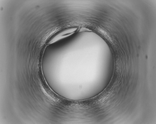 X0000086920538200705071330