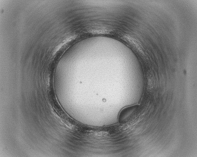 X0000086920539200705071330