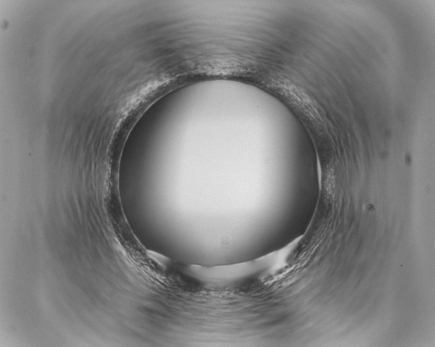 X0000086920540200705071330