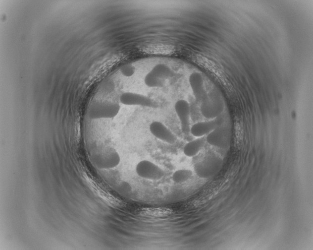 X0000086920541200705071330