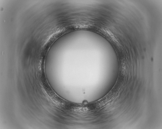 X0000086920543200705071330