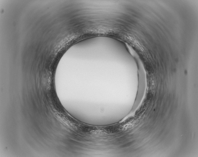 X0000086920544200705071330