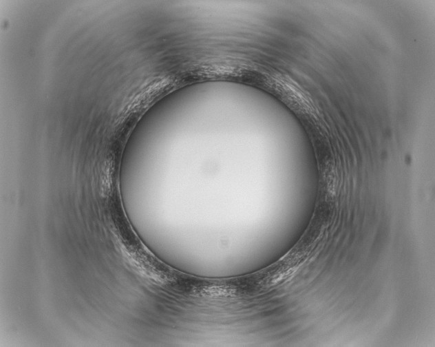 X0000086920546200705071330