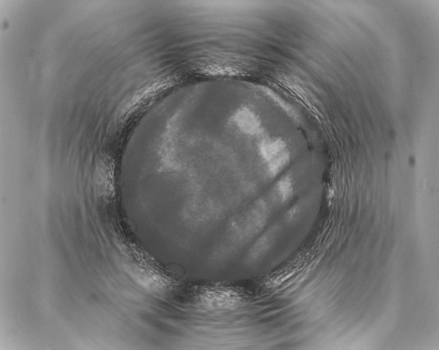 X0000086920547200705071330