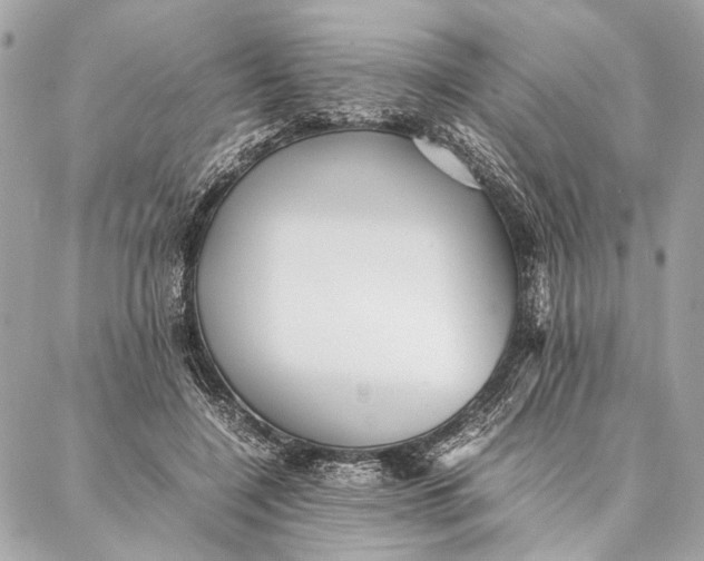 X0000086920548200705071330