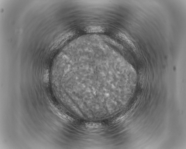 X0000086920549200705071330