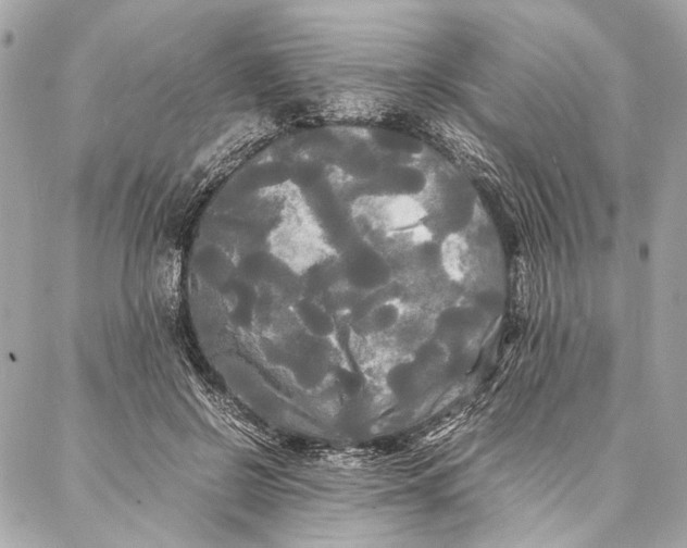 X0000086920550200705071331