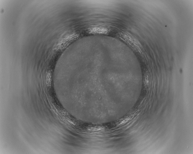 X0000086920551200705071331