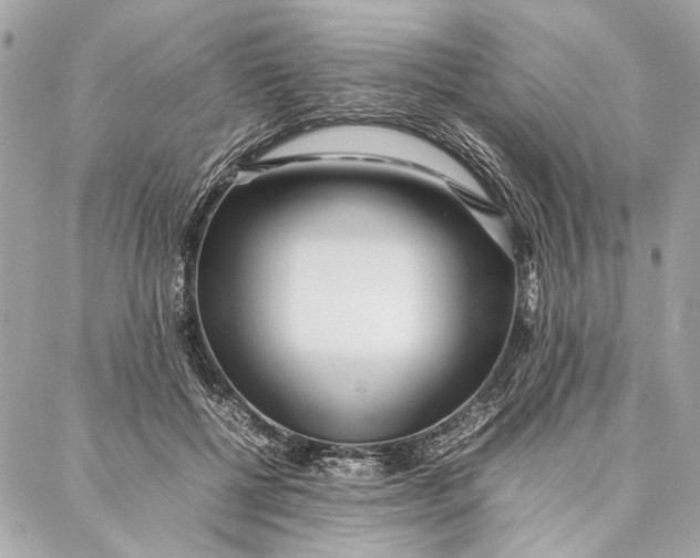 X0000086920552200705071331