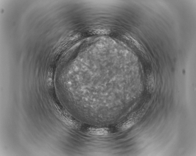 X0000086920553200705071331