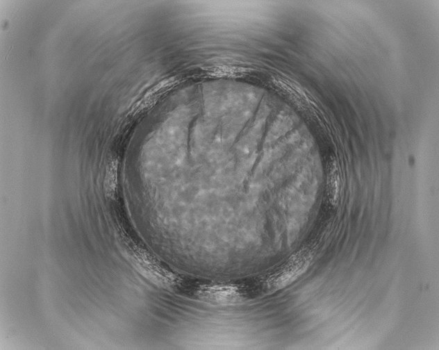 X0000086920554200705071331