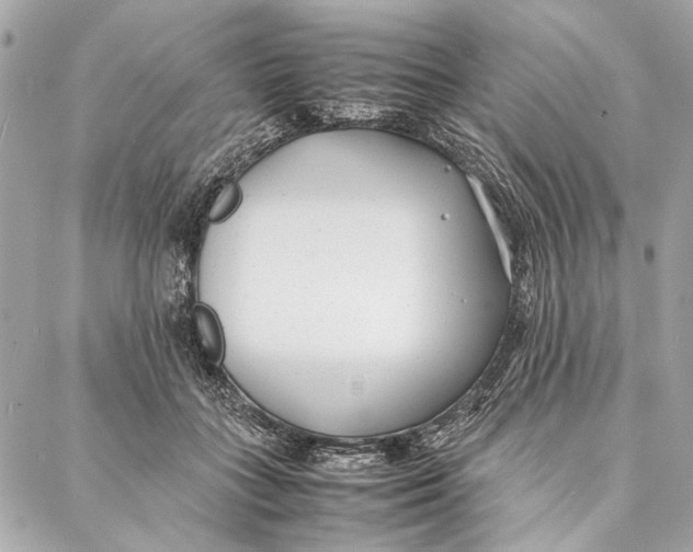 X0000086920555200705071331