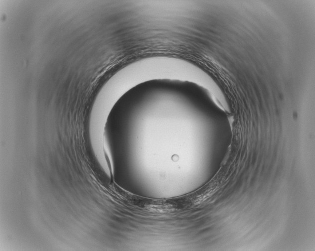 X0000086920556200705071331