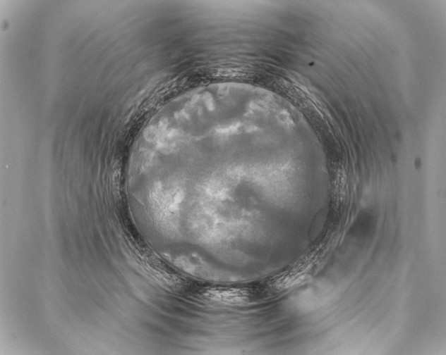 X0000086920557200705071331