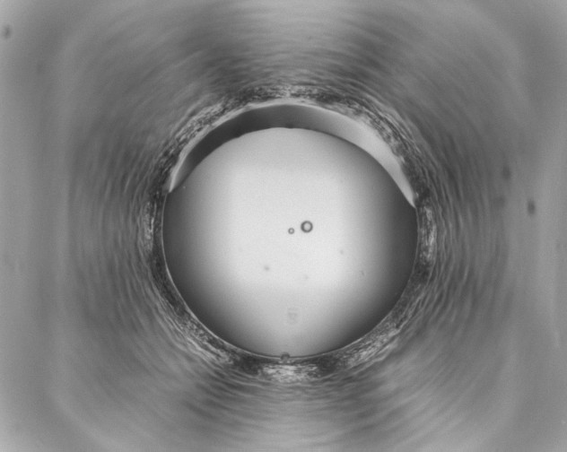 X0000086920558200705071331