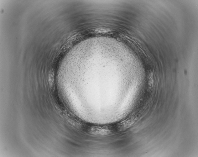 X0000086920559200705071331