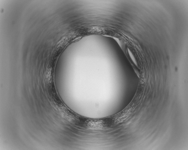 X0000086920560200705071331