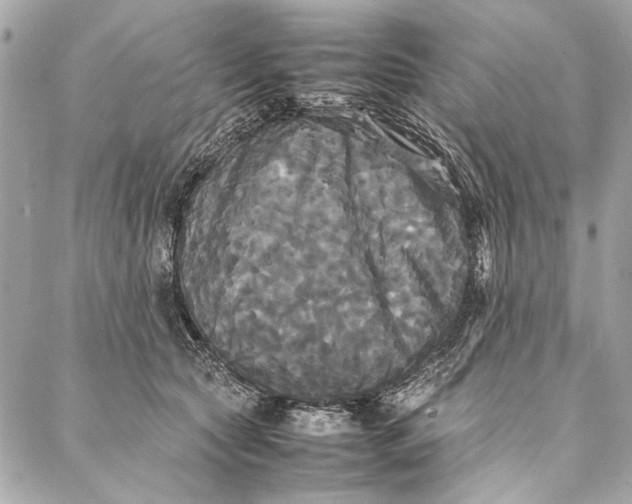 X0000086920561200705071331