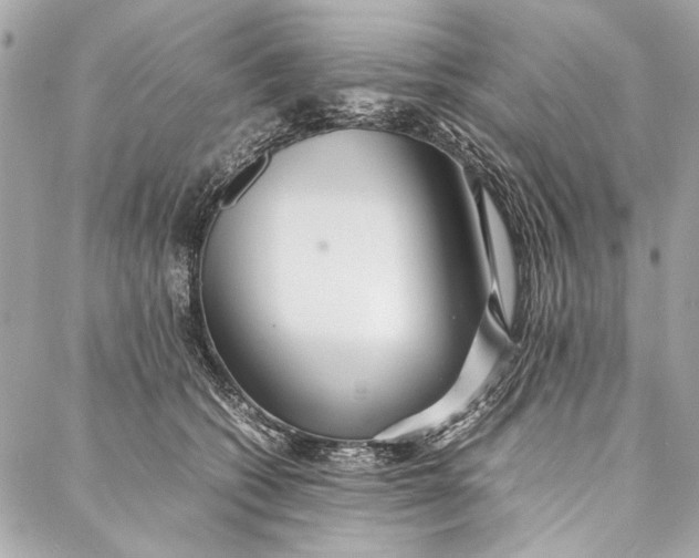 X0000086920562200705071331