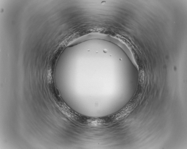 X0000086920564200705071331