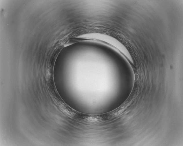 X0000086920566200705071331