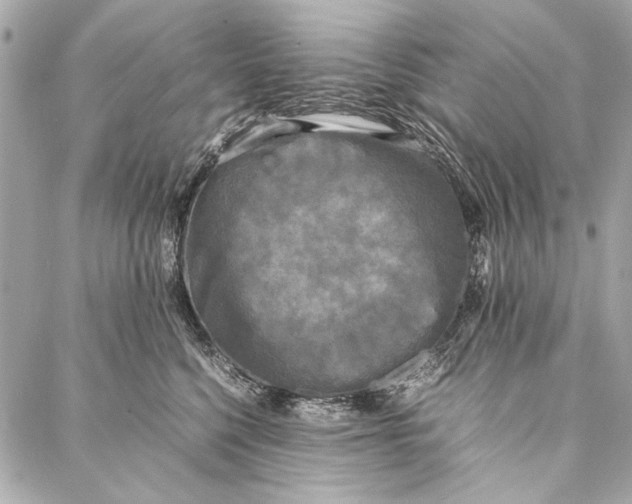 X0000086920568200705071331