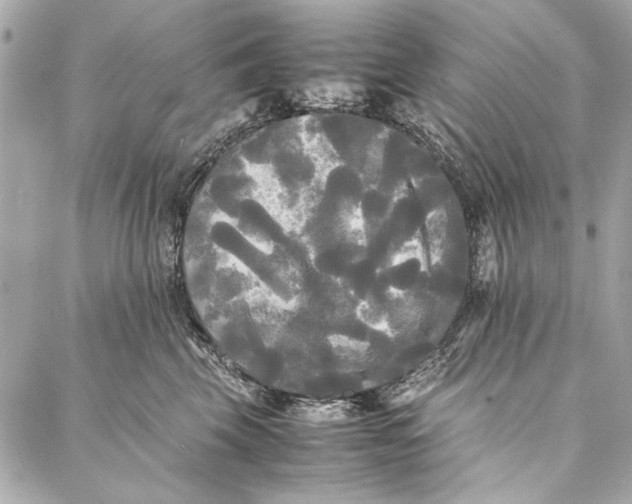 X0000086920569200705071331