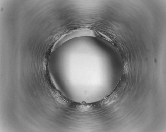 X0000086920570200705071331