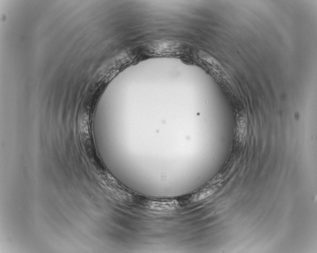 X0000086920571200705071331