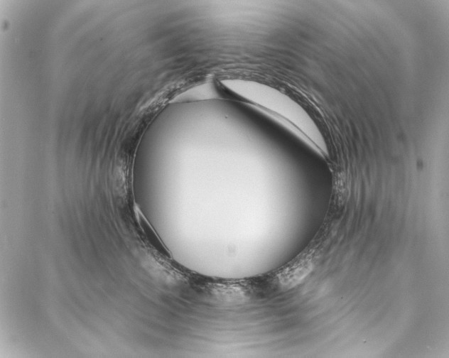 X0000086920572200705071331