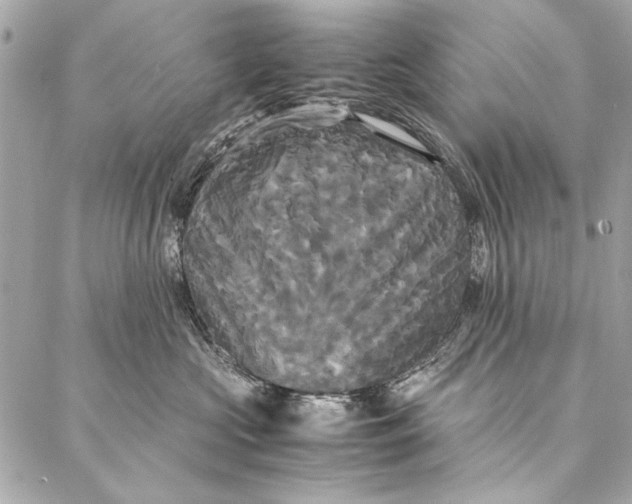 X0000086920573200705071331