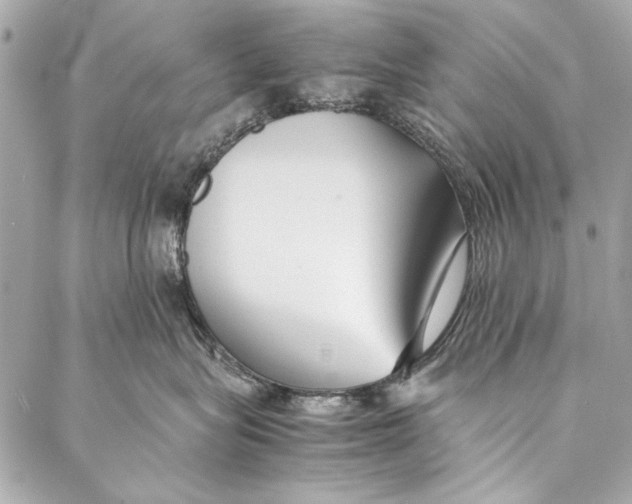 X0000086920575200705071331