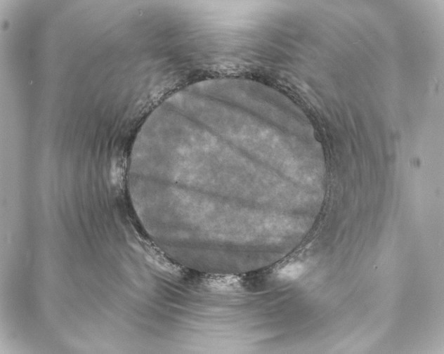 X0000086920576200705071331