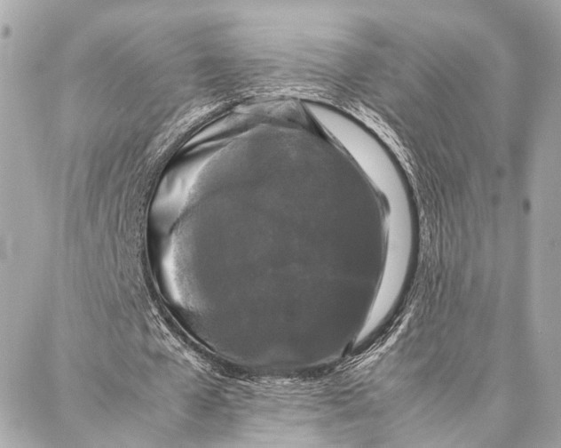 X0000086920577200705071330