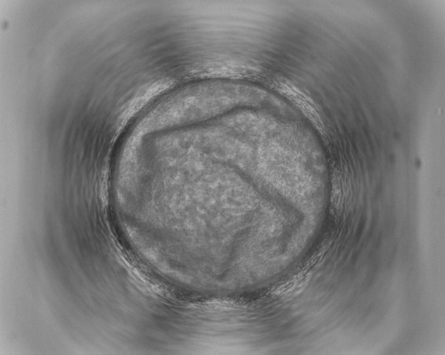 X0000086920578200705071330