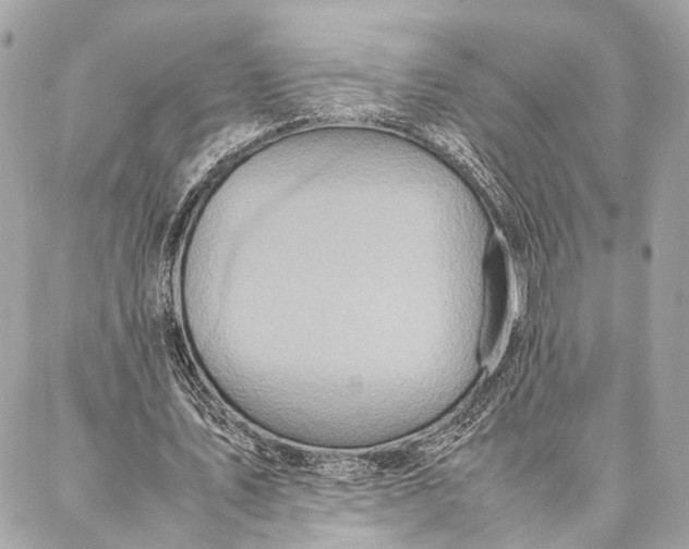 X0000086920579200705071330