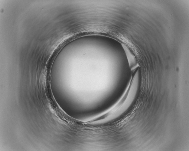 X0000086920580200705071330