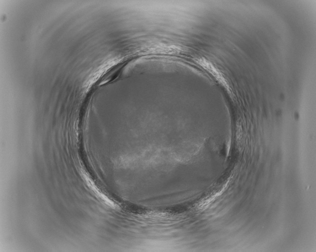 X0000086920581200705071330