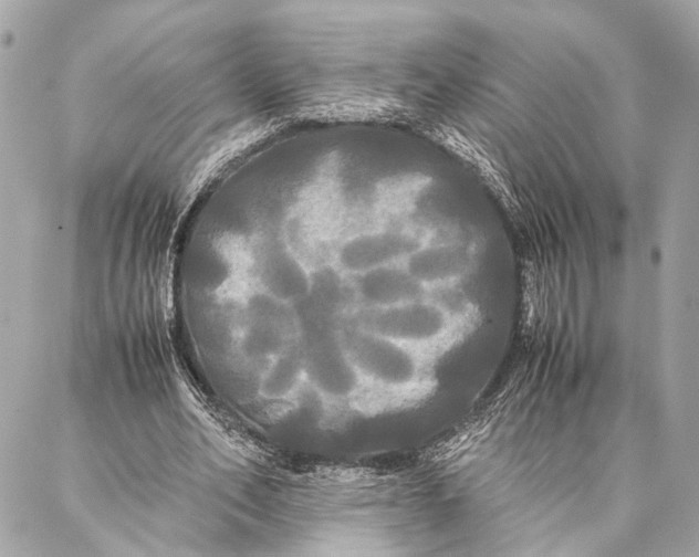 X0000086920582200705071330