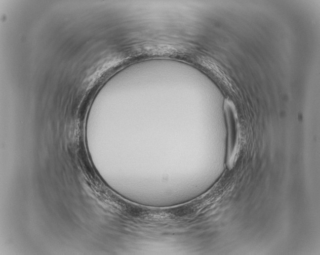 X0000086920583200705071330